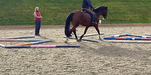 Pole clinic 