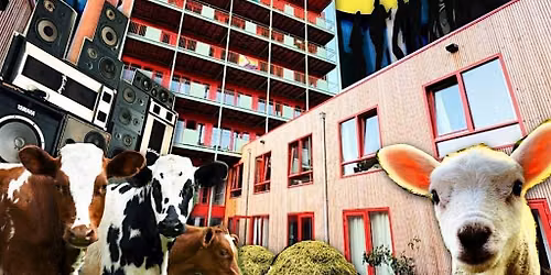 de Nieuwe Meent: openingsfeestje!