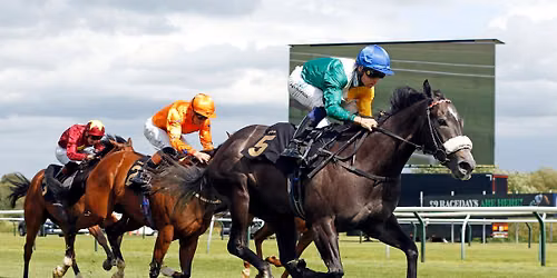 Behind the Scenes Raceday