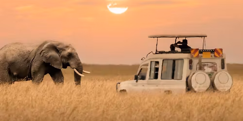 Discover South Africa with Tatiana\u2019s Traveling Co!