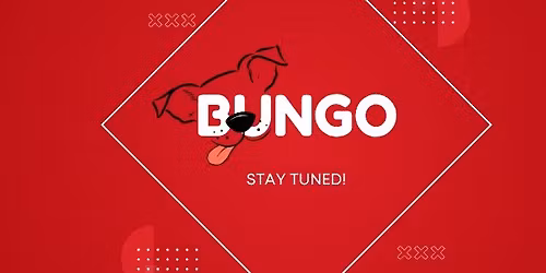 Bungo for Bluegrass Bully Rescue