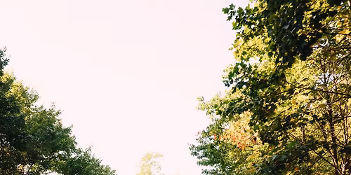 2026 Museum in Motion Dragon Run