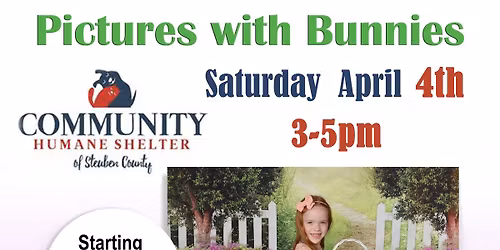 Bunny Pictures or Pet, Community Humane Shelter 