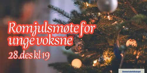 Romjulsm\u00f8te for unge voksne