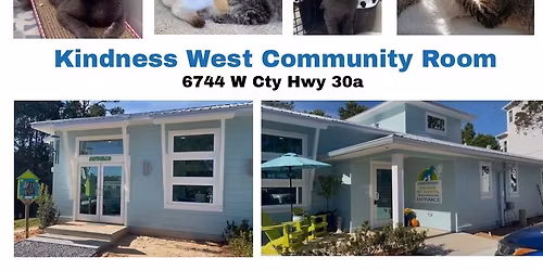 30a Cat Adoption Event