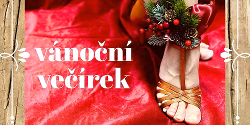 V\u00c1NO\u010cN\u00cd VE\u010c\u00cdREK