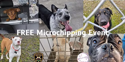 FREE Microchipping Event