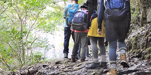 12\/6(\u571f) \u6469\u8036\u5c71\u4e0a\u3067\u934b\u6599\u7406\u306e\u5c71\u3054\u306f\u3093!\u6469\u8036\u5929\u72d7\u9053\u30b0\u30eb\u30e1\u30cf\u30a4\u30ad\u30f3\u30b0