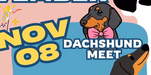 November Dachshund Meet