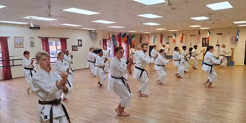 Black & Brown Belt Regional Training (Benoni)
