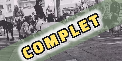 \u00ab COMPLET \u00ab  Cours collectif et promenade en ville 