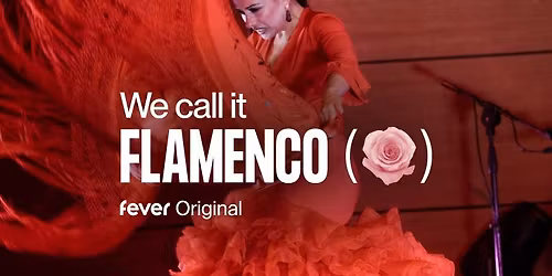We call it Flamenco: Een Unieke Spaanse Dansshow | The Hague