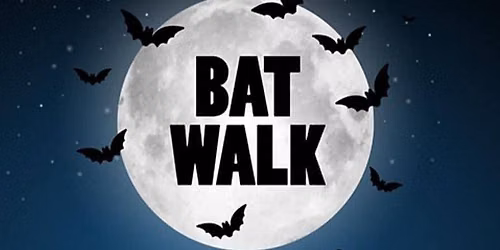 Bat Walk