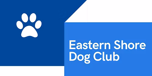 End of Year Sausage Sizzle and Fund raiser