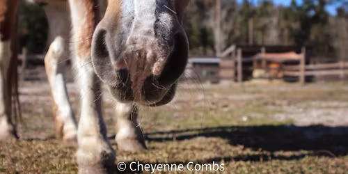Volunteer Orientation 