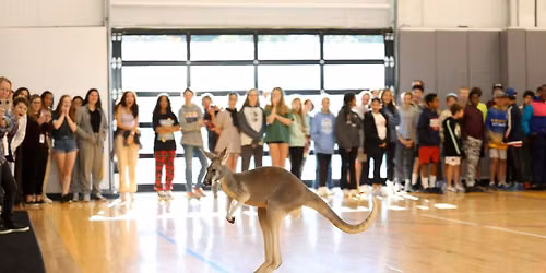 Free Family Summer Series: Animal Adventures at Hillside \ud83e\udd98