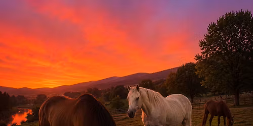 Unbridled You- Self Discovery with Horses \u2728