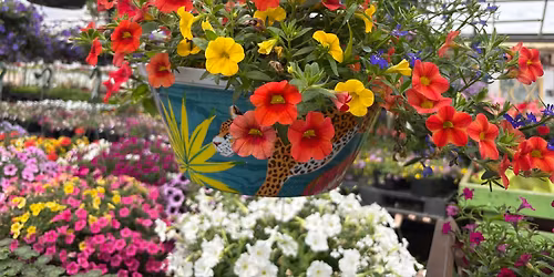 Old Brooklyn Greenhouse 2026 Spring Fest