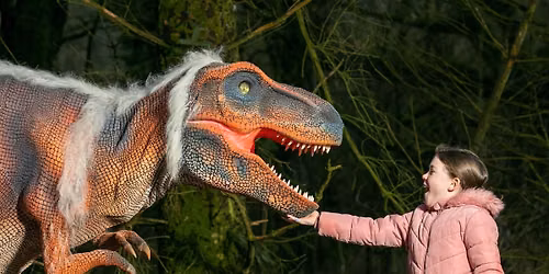 Roar Roar Dinosaur