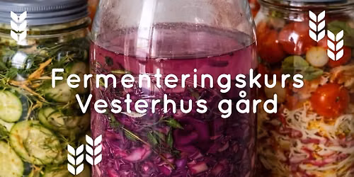 Kurs i fermentering p\u00e5 Vesterhus g\u00e5rd