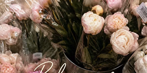 Blossoms & Bridles