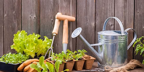 Gardening 101