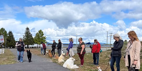 July Urban Pack Walk \ud83d\udc3e