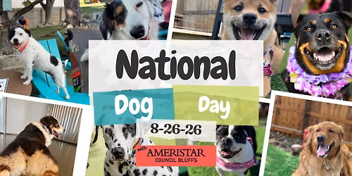 National Dog Day w\/ Ameristar Casino @ Omaha Dog Bar