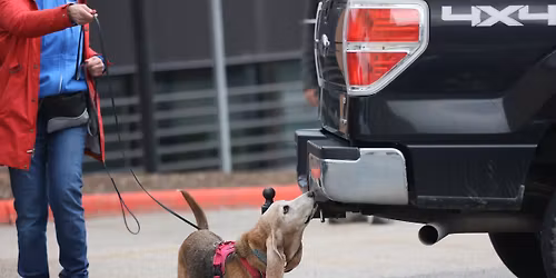 UKC Spring 2026 Nosework Trial