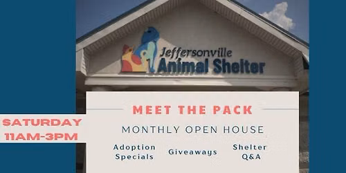 Meet the Pack: Open House \u2013 Dog Foster Edition