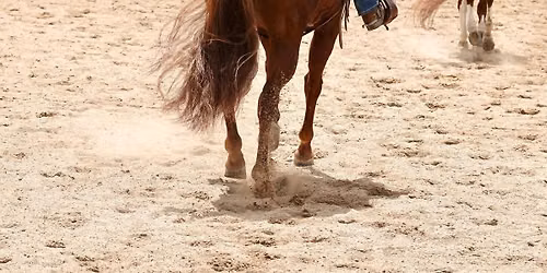 ETI Corral 37 Ranch Horse Show