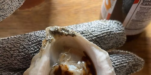 Shucking 101 Presented By iKami