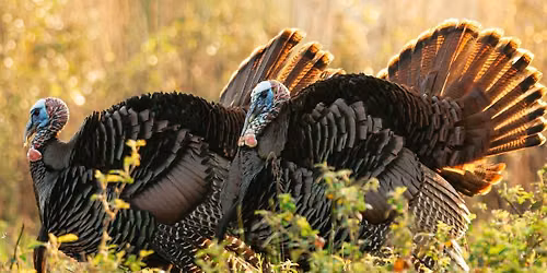 2026 Hunting Heritage Banquet