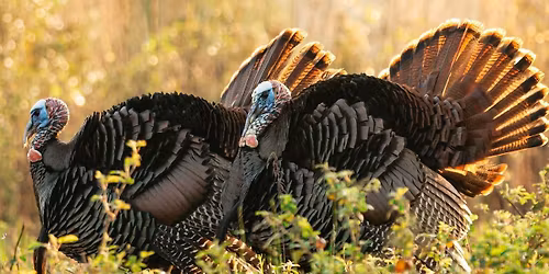 2026 Hunting Heritage Banquet