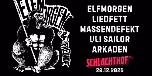 ELFMORGEN & FREUNDE Vol.7 \u2022 Schlachthof Wiesbaden