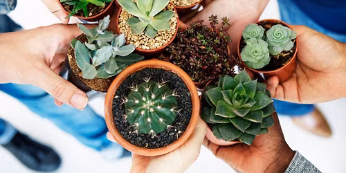 Plant swap 