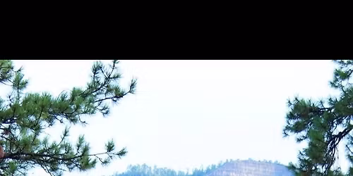 CARBON RED MUSIC LIVE @vfw 7232 Folsom st. 