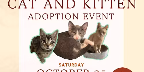 Cat and Kitten adoption event at PetSmart, 1740 Innes Road, Gloucester.