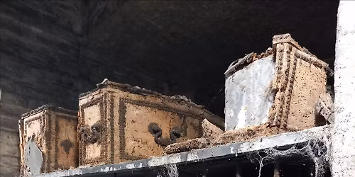 A Grave Concern: Brompton Cemetery & Underground Catacombs Tour 12.30pm