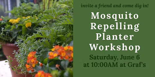 Mosquito Repelling Planter Workshop at Graf's