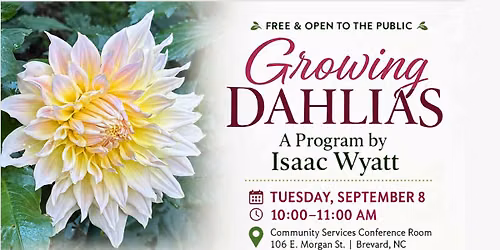 Growing Dahlias: A Program by Isaac Wyatt