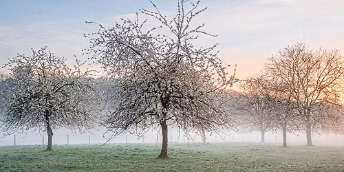 PRIMAVERA-beleving in HENGELHOEF