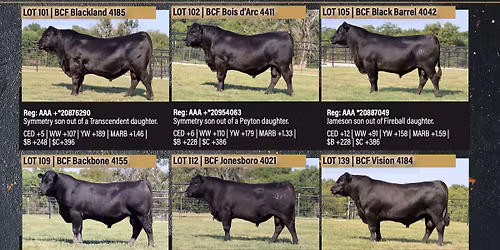 Sixth Annual Angus Female and Bull Sale