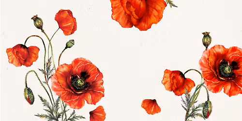 Remembrance Day 2025