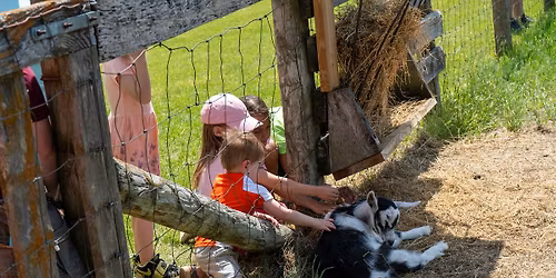 Spring on the Farm 