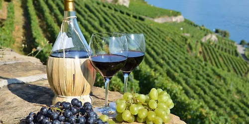 Wines of Italy