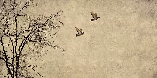 Listening Together: A Monthly Grief Support Group (in-person)