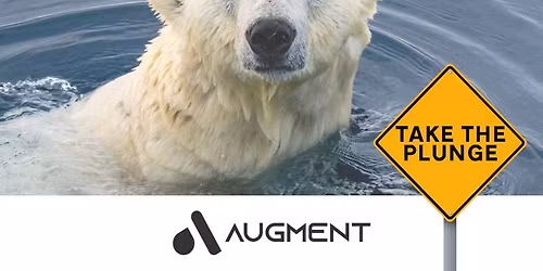 2nd Annual Polar Plunge