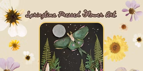 Springtime Pressed Flower Art Class