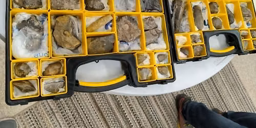Unearth an Adventure - Rocks and Fossils